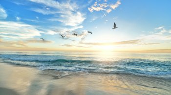 Peaceful ocean sunrise with birds flying overhead, symbolizing hormonal flow and sexual wellness