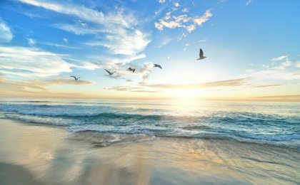 Peaceful ocean sunrise with birds flying overhead, symbolizing hormonal flow and sexual wellness