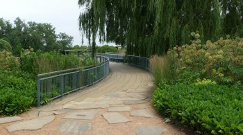 Peaceful garden path symbolizing lymphatic flow and natural detoxification