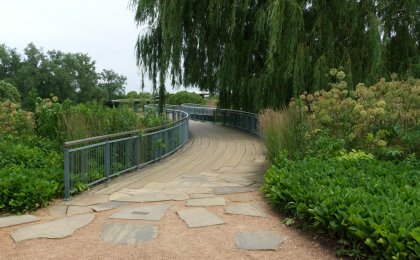 Peaceful garden path symbolizing lymphatic flow and natural detoxification