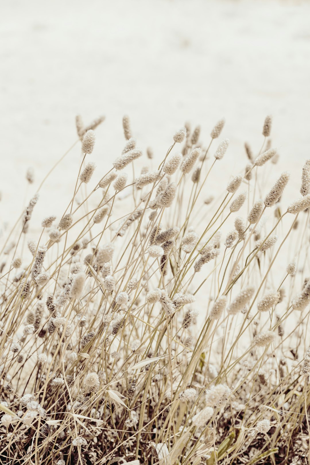 Why Concussion Recovery Requires a Whole-Body Approach